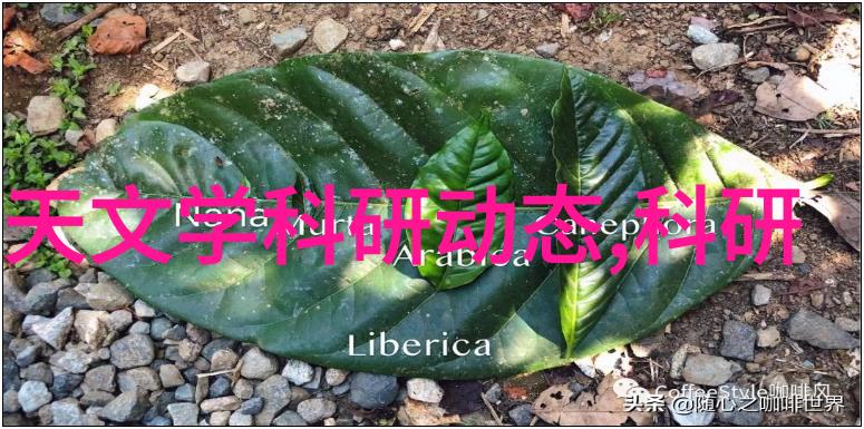 探索建筑给水排水设计规范为什么雨滴管是必不可少的组成部分