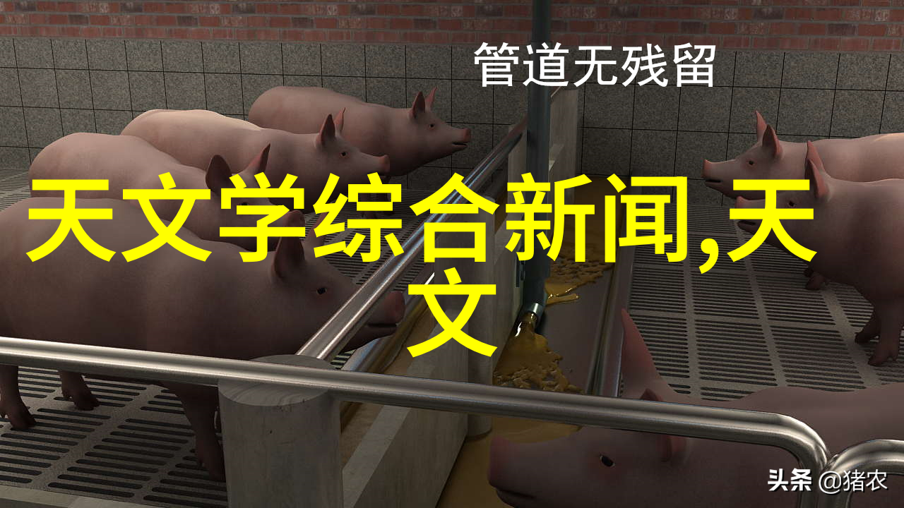 华为目前最好的智能手表-探索华为最新旗舰究竟哪款智能手表值得您的选择