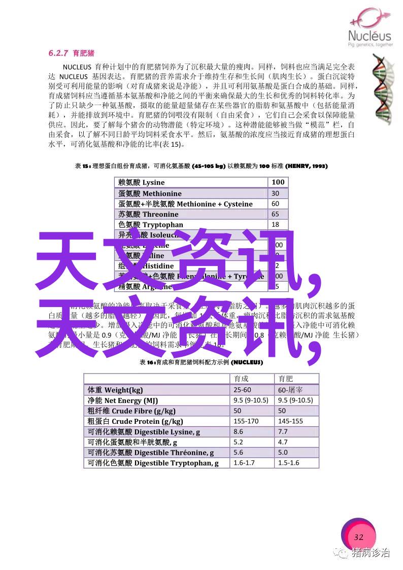 食用化工原料的选择与应用艺术