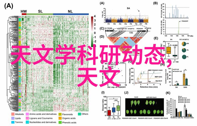 实验室烘干箱温度控制的艺术与科学