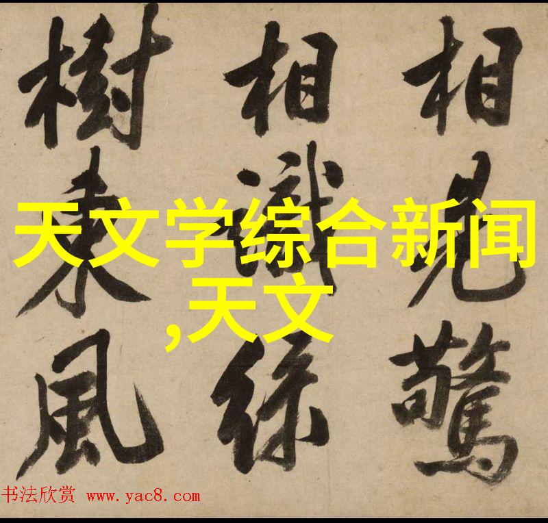 双人床上享受扑克夜晚温馨伴侣的游戏时光