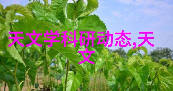 通过五金配件图片大全我们能学到什么关于节省空间的秘诀呢