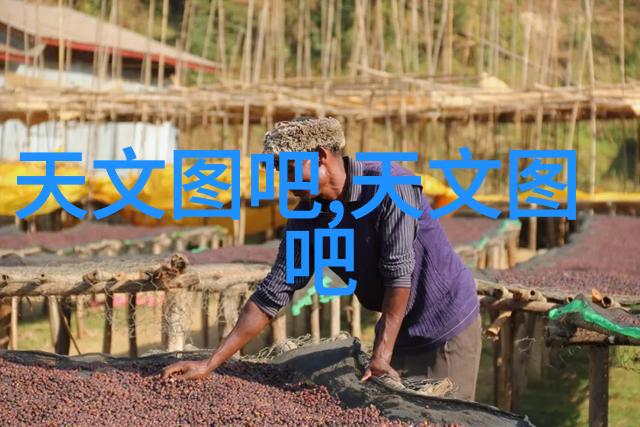 固定流化床反应器颗粒化学的舞蹈