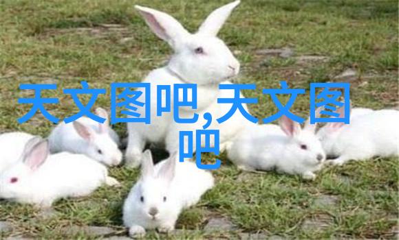 化工基础剖析化工基本原料的概念与重要性
