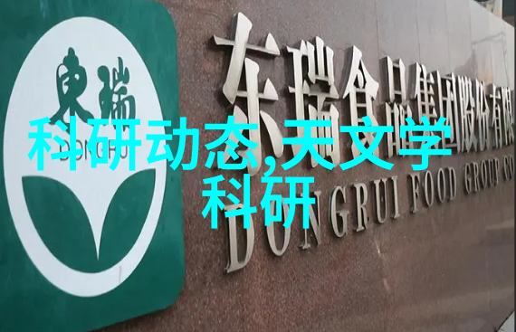 资本市场技术创新与国家安全评估中国能否独立于全球芯片供应链外