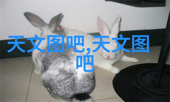 液体分离之心油水分离器的精妙构造