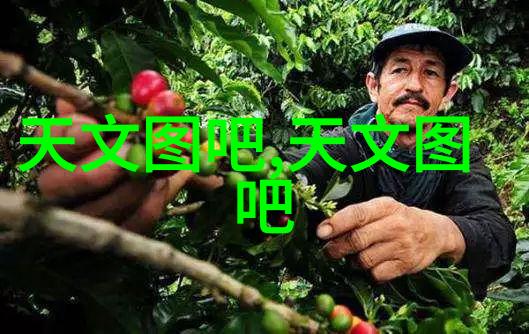 汽车配件库-精选汽车配件保障您的爱车健康与高效运行