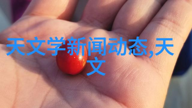 浙江财经大学教务处课程管理与学术卓越的双刃剑