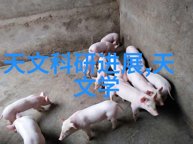 冰翼之城制冷设备厂家的寒凉奇迹