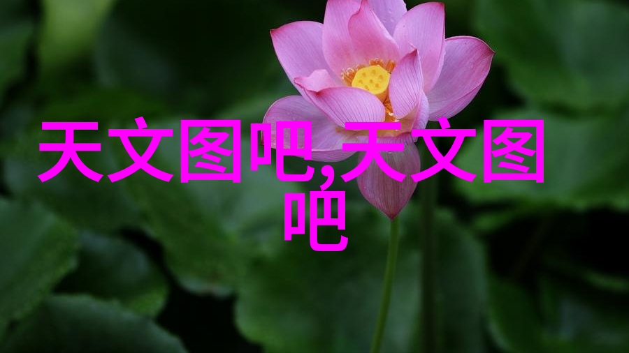 如果我持有中交地产股票应该如何进行长期规划和管理
