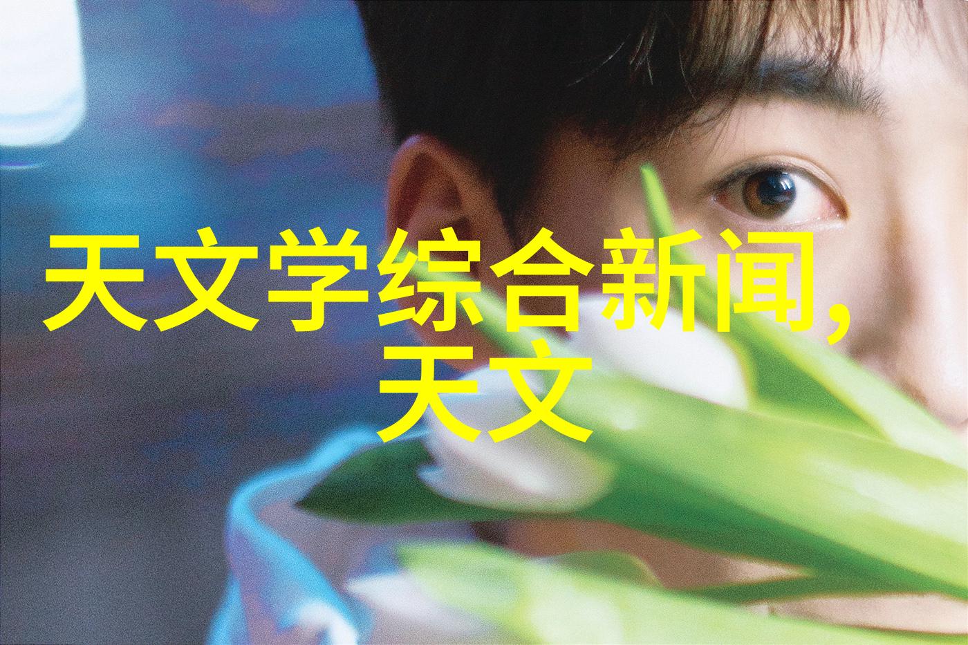 国产替代半导体芯片龙头股中国芯片产业发展战略