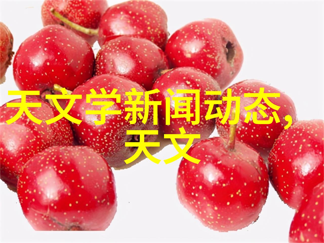 如何通过调整加氢反应釜内部结构来优化产品分布