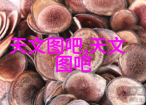 传统玻璃与现代塑料制成的反应器各有什么优缺点对比分析