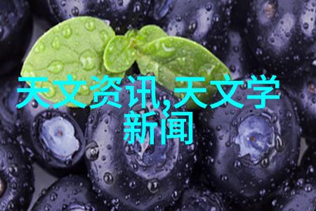 反应釜分类之谜甲类与乙类的秘密是什么
