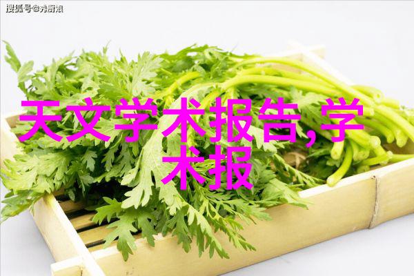 球墨铸管公司在中国市场上占据了怎样的市场份额