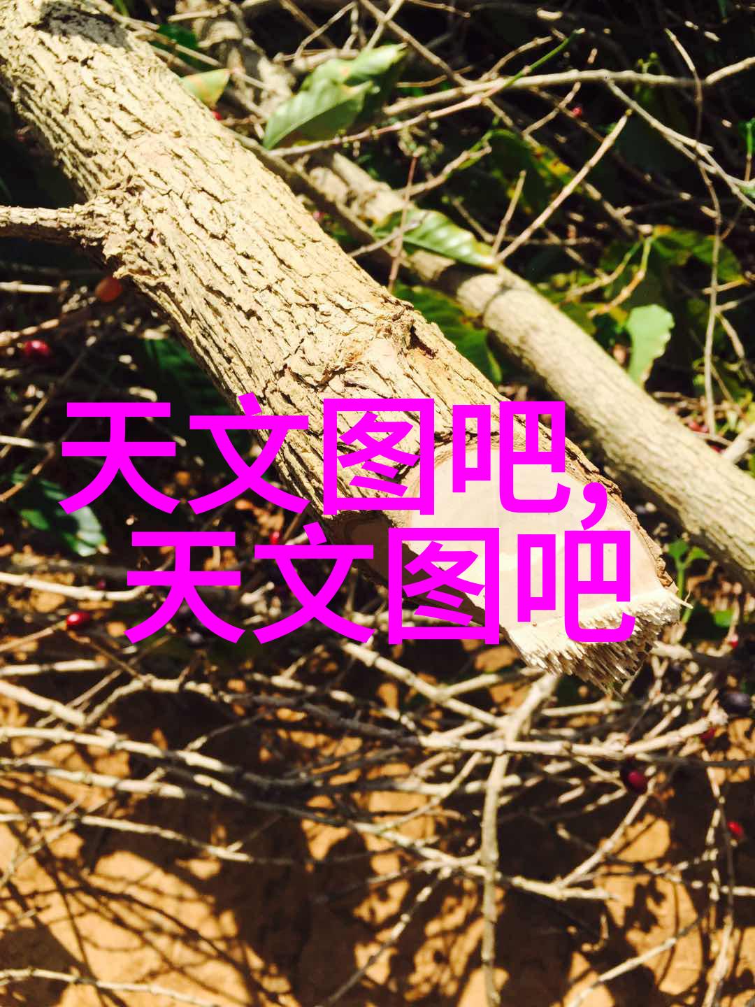 杀菌效果如何评估从活性物质到效益分析