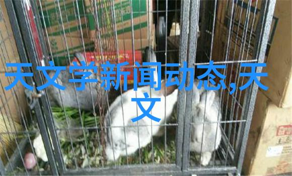 买房子要注意什么购房指南财务规划房产检查地段选择建筑质量
