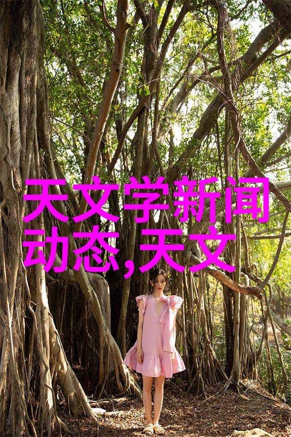 广东财经大学从账本到梦想的奇妙旅程