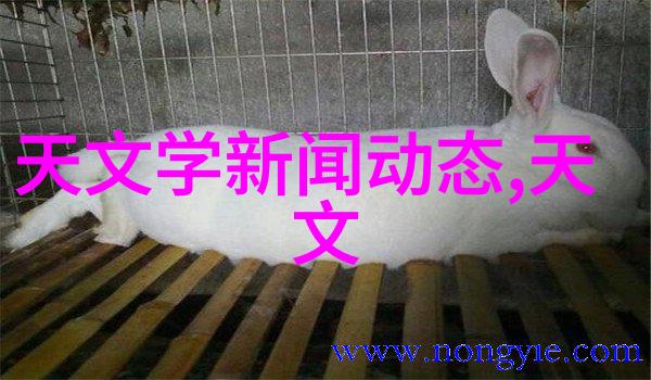 中国中免股份股票-深度解析中国中免股份股票投资价值与市场前景分析