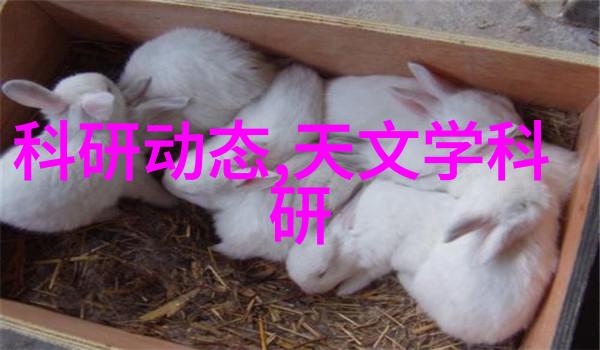 智能清洁机器人高效的自动消毒喷雾服务