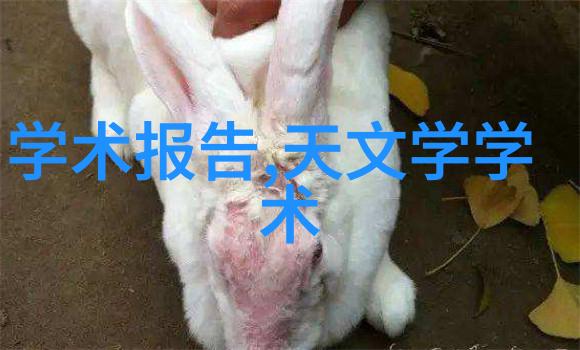 化学实验-揭秘发生装置和反应装置的精彩图片