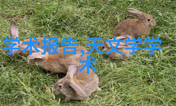 宁静之境探索噪音低的生活艺术与科技