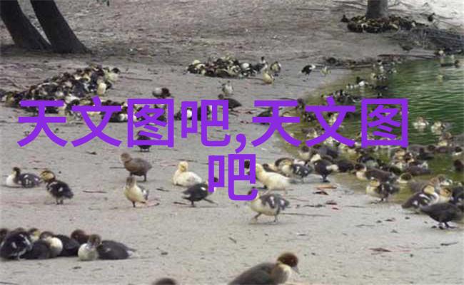 汽车配件市场新趋势智能化与可持续发展的融合
