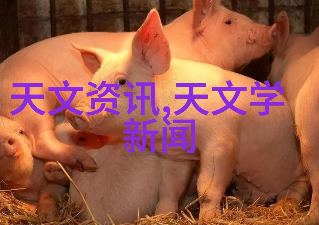 化工机械的专业根源揭秘工程技术学科中的关键领域