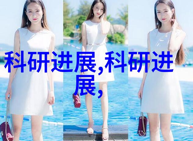 工业清洁之星脉冲袋式除尘器的魅力与实用性