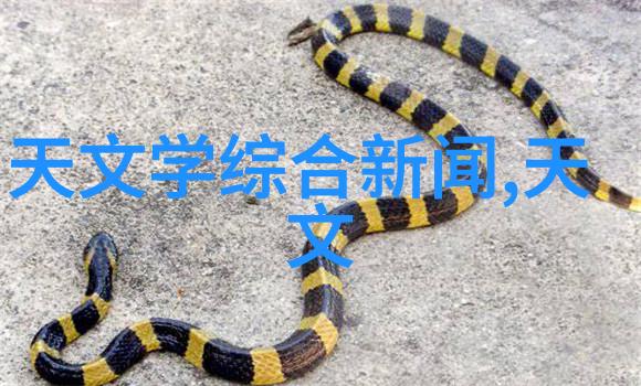 集成电路行业工资飙升人才红利与产业发展的双刃剑