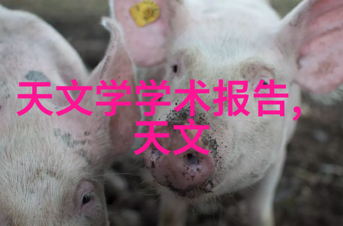 化工厂机器的沉默代价一台机器的问候与千万价格的背后故事