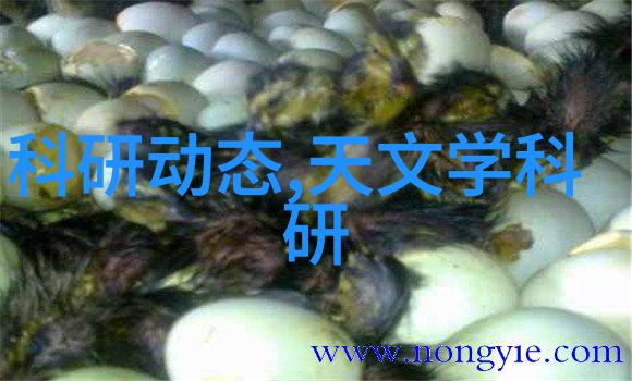 丝网除雾器厂公司透明视角下的清新技术革新