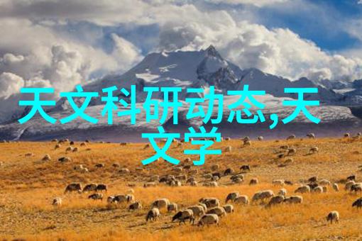 西南财经大学研究生院高等教育的学术殿堂