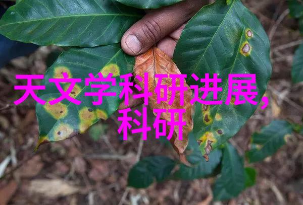 在使用碟盘过滤器时您是否考虑过搭配uhr150油水分离器以更高效地处理流体
