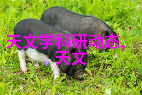 四方米之谜卫生间设计图中的隐藏秘密