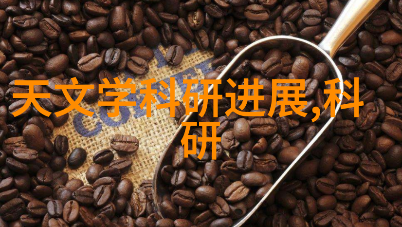 化学反应器设计与优化的关键深入探究反应器结构简图