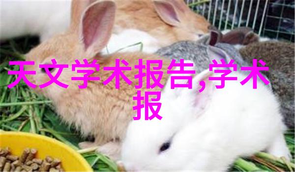 化学实验室中的关键组成装置与反应的完美对话