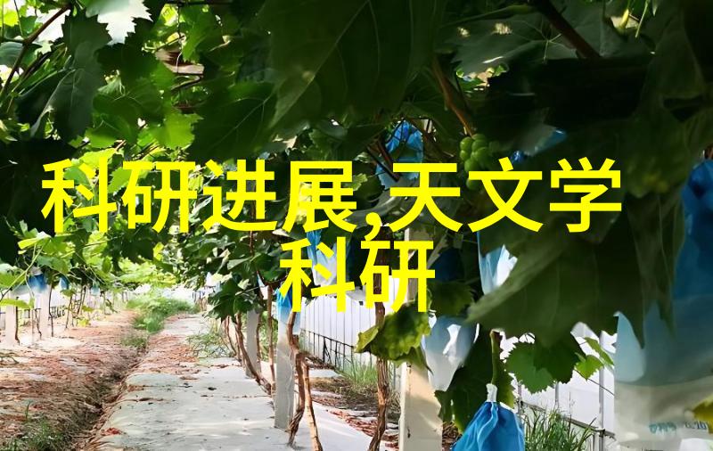 水份测定仪我的小助手精准度日常的守护者
