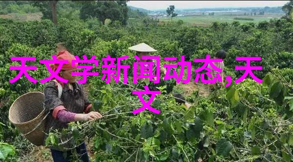 三全食品味蕾上的笑话大师