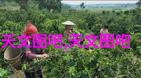 清洁之源探索水处理公司的技术与创新