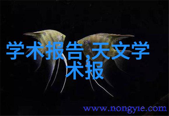 动物世界之窗探索反应器软件的奇妙应用