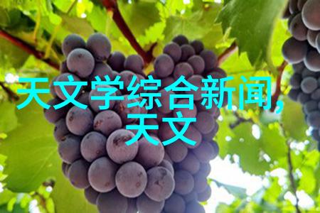 天文学科研动态沪上启航第六届中国行业发展高峰论坛