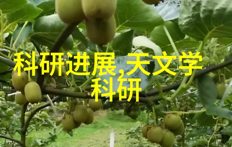 奇幻冒险-穿越大龙门客栈的秘密