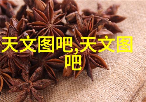 生物发酵新纪元不锈钢固定床反应器实验室中的高效发酵大师