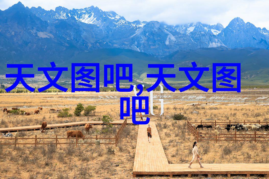 市场监督局管理范围内的产品质量安全监管与企业责任履行