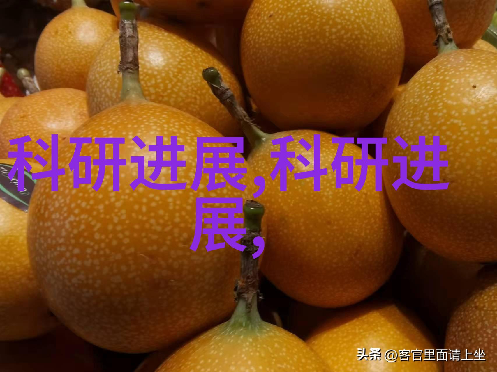 各类申请报告范文大全-精选百科全书撰写高效的申请报告必备指南