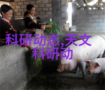 管材种类全解析探索各种用途的管道材料