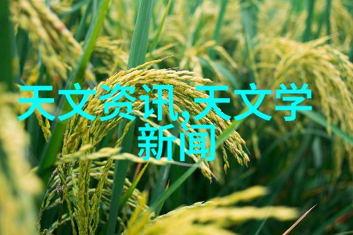 汽车配件回收环保节能的智慧选择