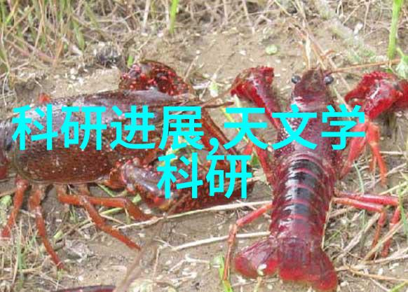 旋流曝气器技术高效能水处理设备