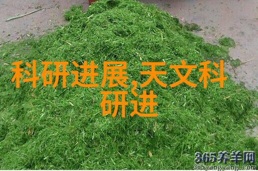 粉碎机设备精细分解探索高效破碎技术与安全运作秘诀